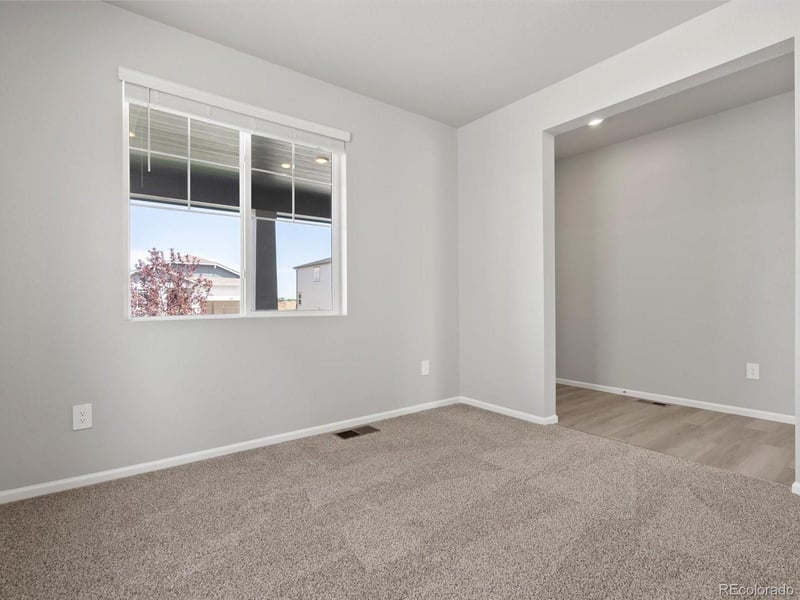 1604 Colorado River Dr, Windsor, CO 80550