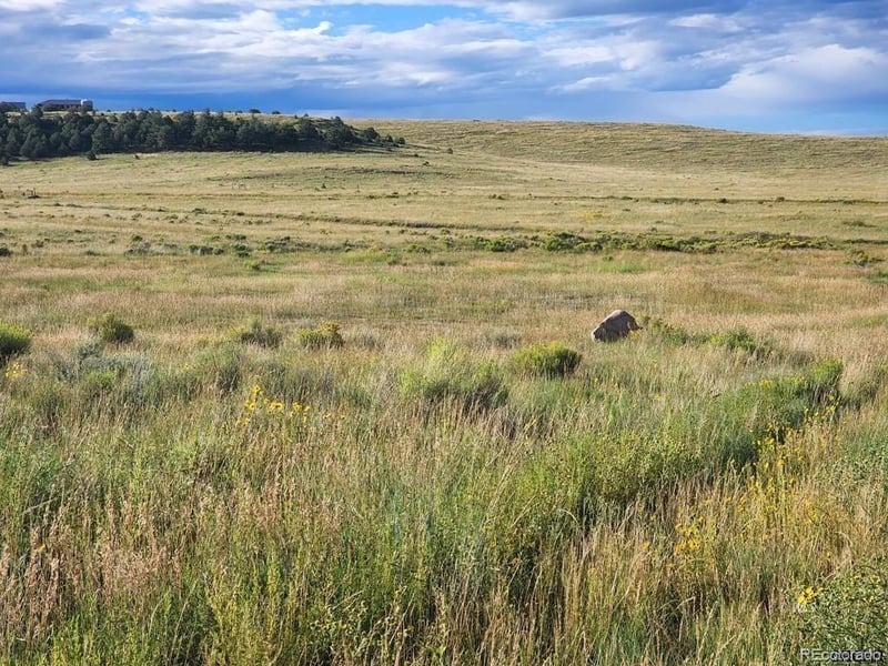138 Commanche Rd, Westcliffe, CO 81252