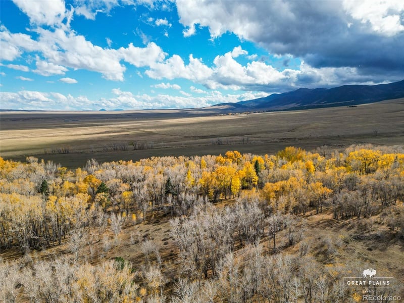 3870 County Road 125, Westcliffe, CO 81252