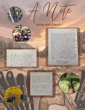 18957 County Road 162, Nathrop, CO 81236