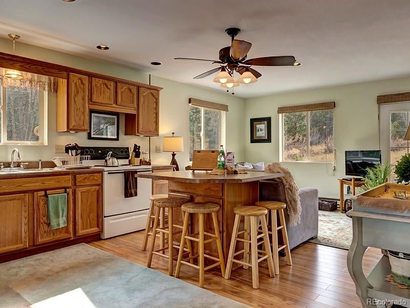 18957 County Road 162, Nathrop, CO 81236