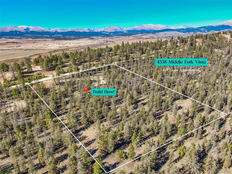 4538 Middle Fork Vi, Fairplay, CO 80440