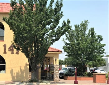 147 Main St, Montrose, CO 81401