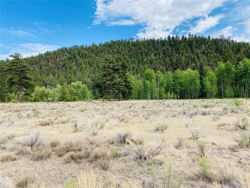 7 Massey Creek Rd Lot 7, Antonito, CO 81120