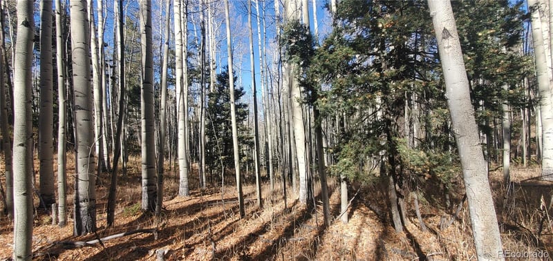 Lot 6060 Forbes Rd Lot 6060, San Luis, CO 81152