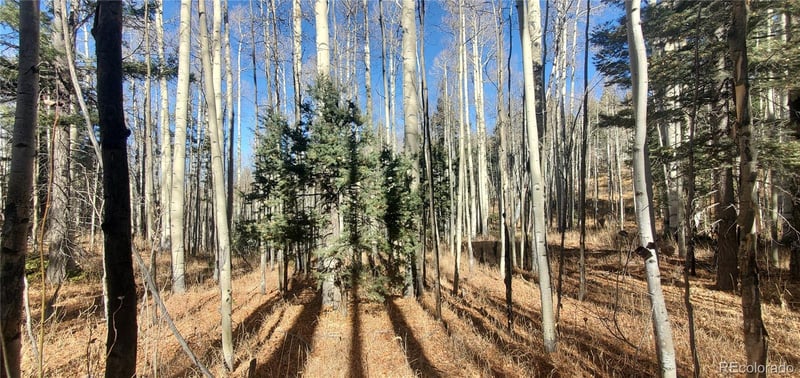 Lot 6060 Forbes Rd Lot 6060, San Luis, CO 81152