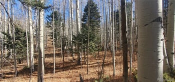 Lot 6060 Forbes Rd, San Luis, CO 81152