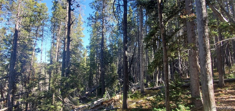 Lot 2999 - 2998 Drexler Pl Lot 2998,2999, Fort Garland, CO 81133