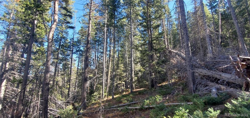 Lot 2999 - 2998 Drexler Pl Lot 2998,2999, Fort Garland, CO 81133