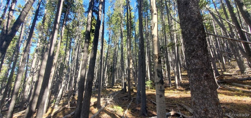 Lot 2682 - 2683 Purnell Ln Lot 2682,2683, Fort Garland, CO 81133