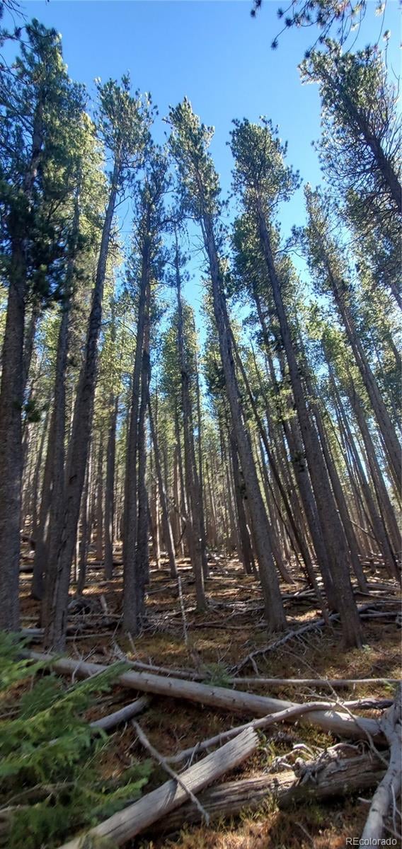 Lot 2682 - 2683 Purnell Ln Lot 2682,2683, Fort Garland, CO 81133