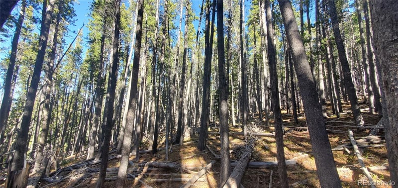 Lot 2682 - 2683 Purnell Ln Lot 2682,2683, Fort Garland, CO 81133