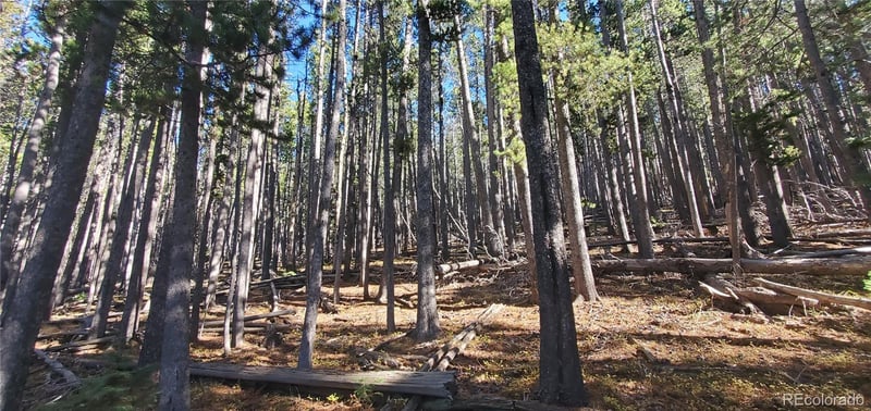 Lot 2682 - 2683 Purnell Ln Lot 2682,2683, Fort Garland, CO 81133