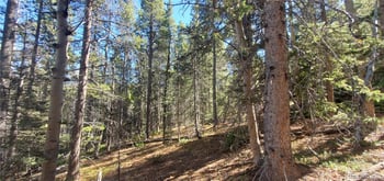 Lot 3023 - 3024 Bolwell Ln, Fort Garland, CO 81133