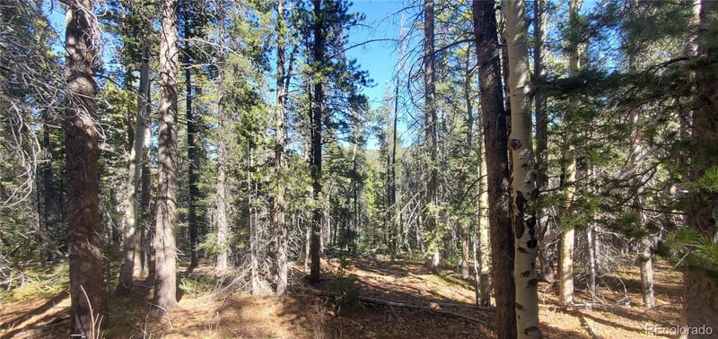 Lot 3023 - 3024 Bolwell Ln Lot 3023,3024, Fort Garland, CO 81133