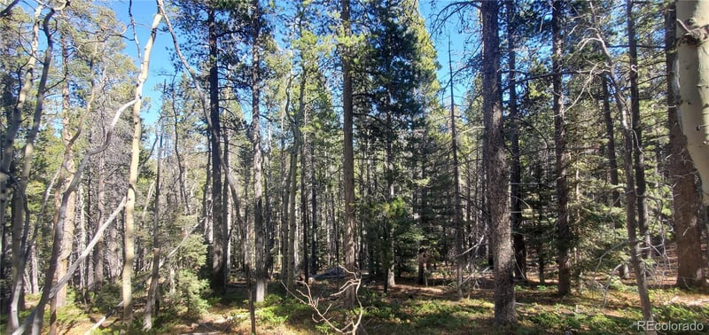 Lot 3023 - 3024 Bolwell Ln Lot 3023,3024, Fort Garland, CO 81133