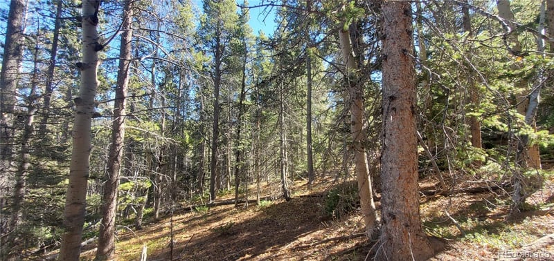 Lot 3023 - 3024 Bolwell Ln Lot 3023,3024, Fort Garland, CO 81133