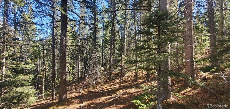 Lot 3023 - 3024 Bolwell Ln Lot 3023,3024, Fort Garland, CO 81133