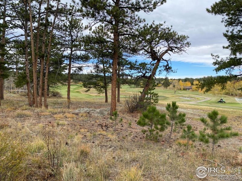 Northwoods Dr, Red Feather Lakes, CO 80545