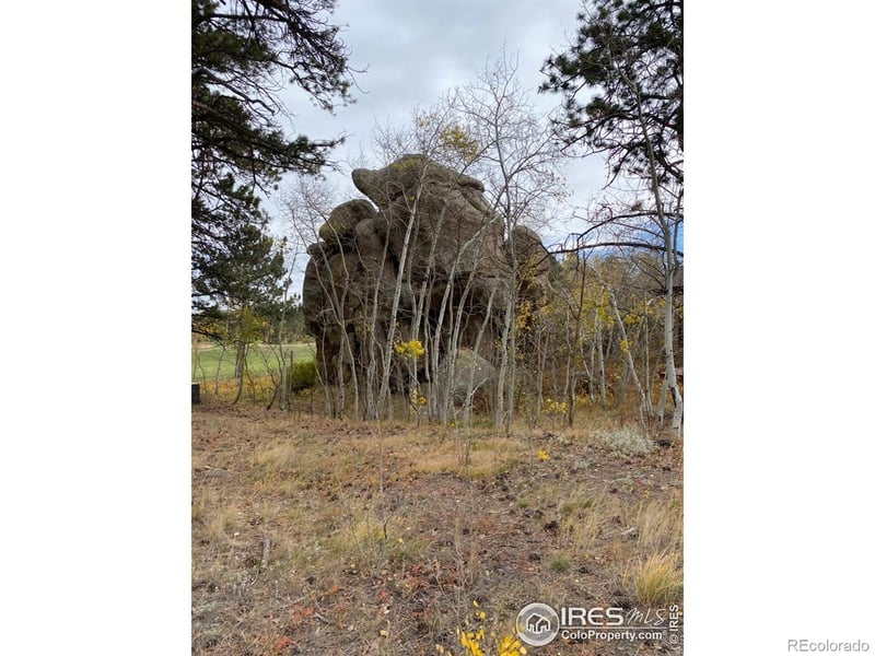 Northwoods Dr, Red Feather Lakes, CO 80545