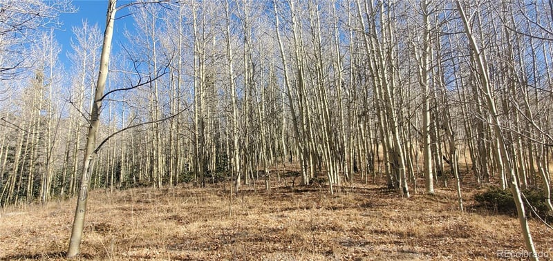 Bronfman Rd Lot 6414 & 6415, Fort Garland, CO 81133