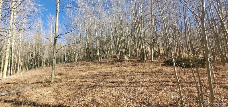 Bronfman Rd Lot 6414 & 6415, Fort Garland, CO 81133