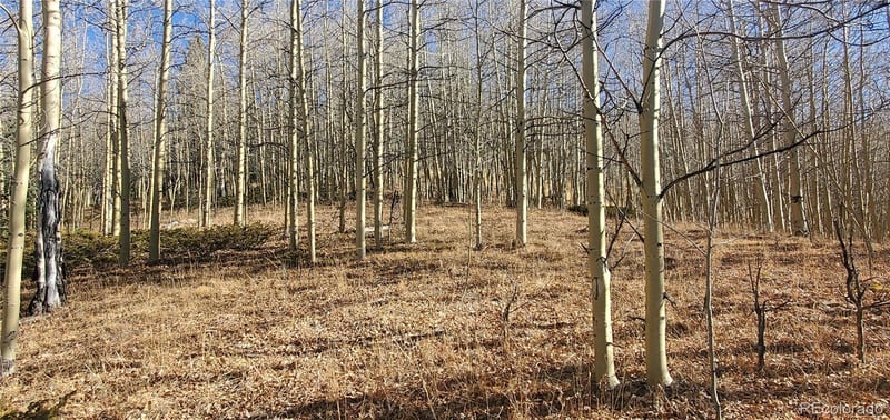 Bronfman Rd Lot 6414 & 6415, Fort Garland, CO 81133