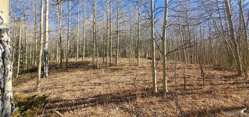Bronfman Rd Lot 6414 & 6415, Fort Garland, CO 81133