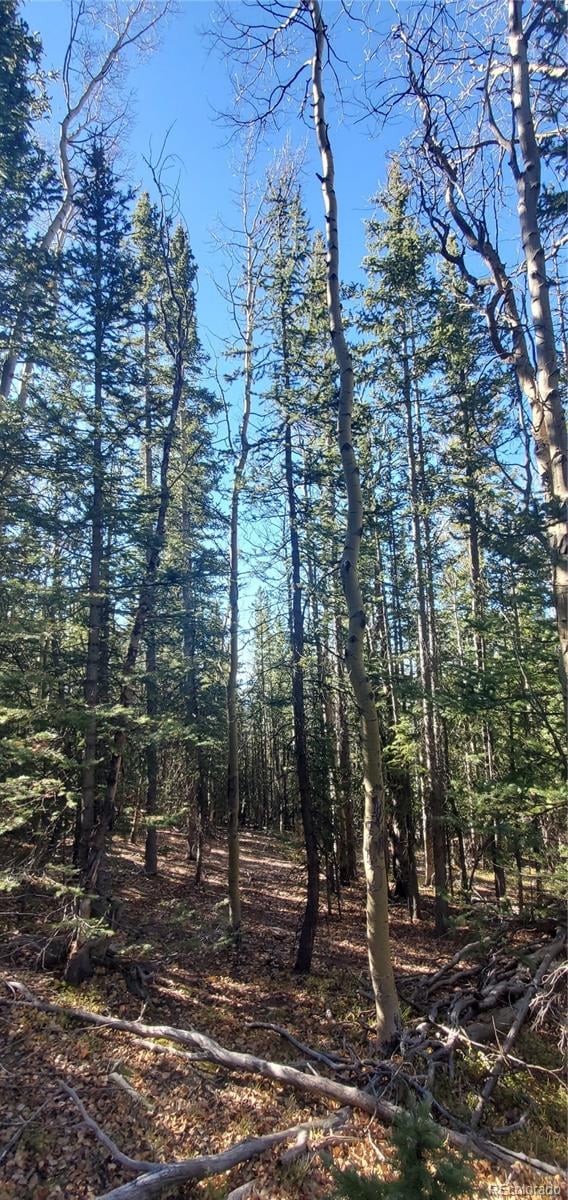 Lot 6581 Ackerman Rd, Fort Garland, CO 81133