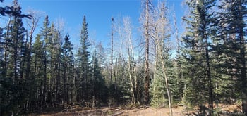 Lot 6581 Ackerman Rd, Fort Garland, CO 81133
