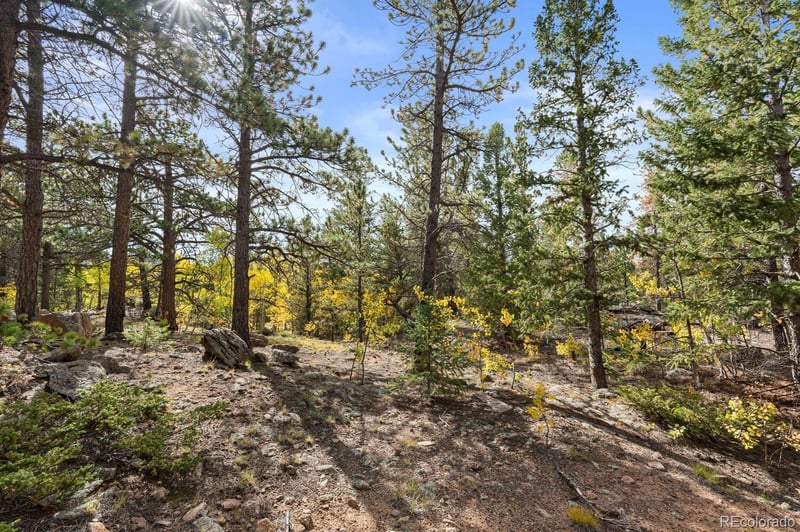 Pinon , Black Hawk, CO 80422
