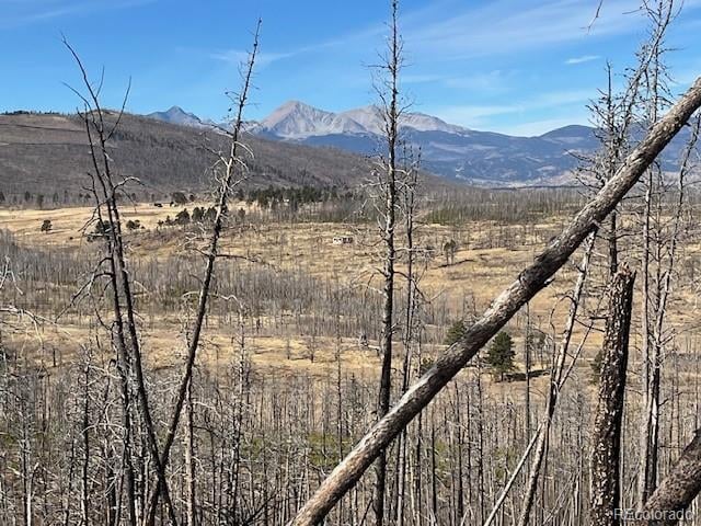 Lot 1741 Mathlide Pl, Fort Garland, CO 81133