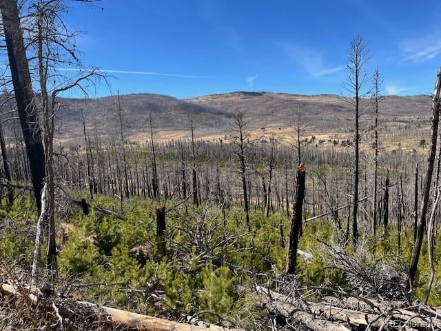 Lot 1741 Mathlide Pl, Fort Garland, CO 81133