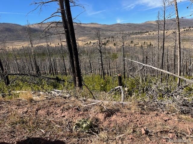 Lot 1741 Mathlide Pl, Fort Garland, CO 81133