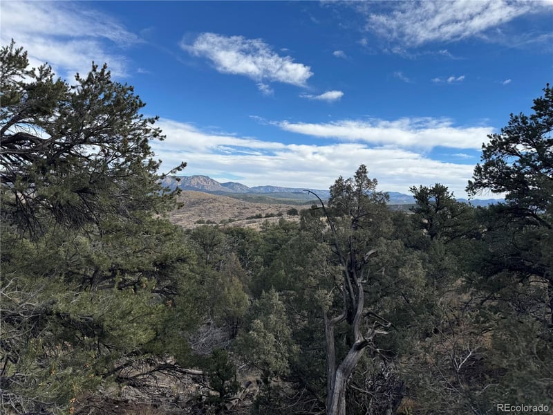 2926 E Pa, Cotopaxi, CO 81223