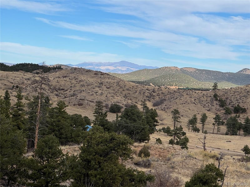 2926 E Pa, Cotopaxi, CO 81223