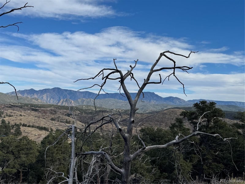 2926 E Pa, Cotopaxi, CO 81223
