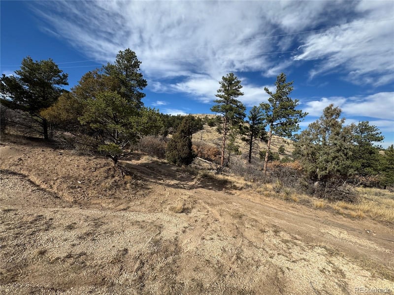 2926 E Pa, Cotopaxi, CO 81223