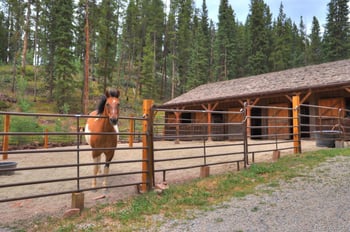 211 Tarnwood Dr, Breckenridge, CO 80424