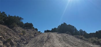Lot 7356 Bidwell Rd, Fort Garland, CO 81133