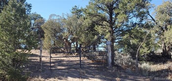 Lot 7356 Bidwell Rd, Fort Garland, CO 81133