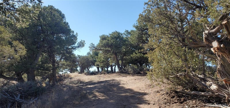 Lot 7356 Bidwell Rd, Fort Garland, CO 81133