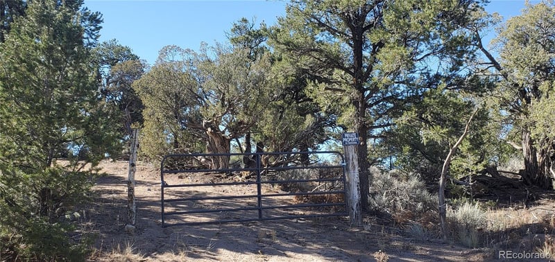 Lot 7356 Bidwell Rd Lot 7356, Fort Garland, CO 81133