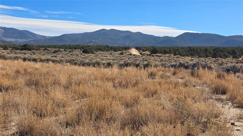 Lot 1768 Bateman Rd, Fort Garland, CO 81133