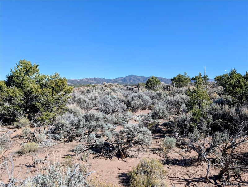 Lot 3243 Paine Rd, Fort Garland, CO 81133