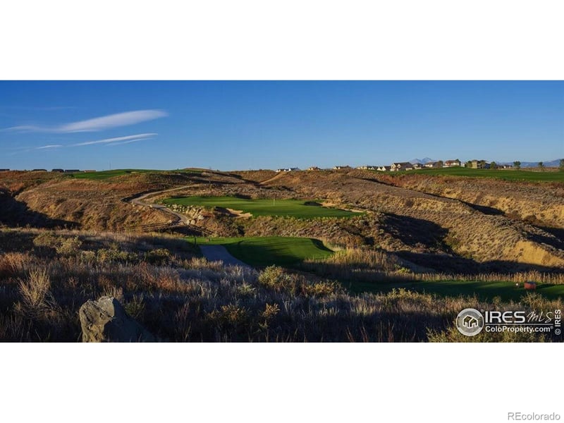 1819 Crisp Air Dr, Windsor, CO 80550