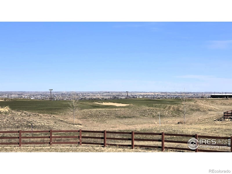 1813 Crisp Air Dr, Windsor, CO 80550