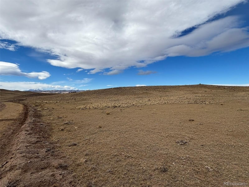 3779 Uxta Trl, Hartsel, CO 80449