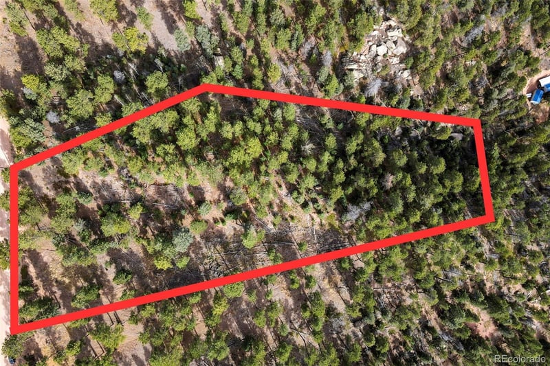 13948 Boulder Ln, Larkspur, CO 80118