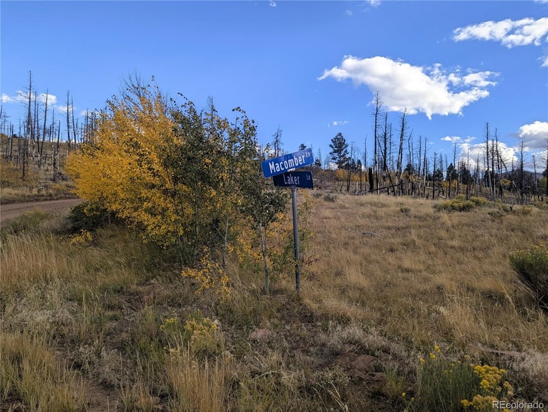 1129 Laker Ln, Fort Garland, CO 81133